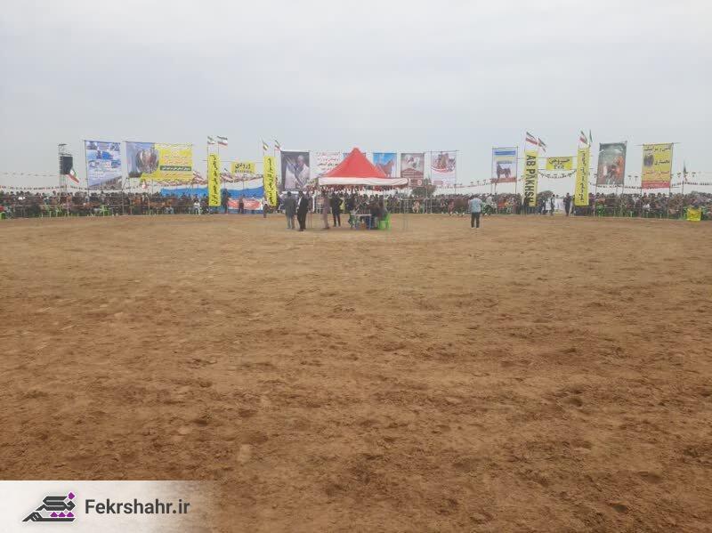 جشنواره اسب‌های اصیل ایرانی در آبپخش برگزار شد