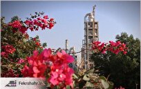 فرماندار:
اجازه تعطیلی هیچ واحد اقتصادی در شهرستان دشتی را نمی‌دهیم