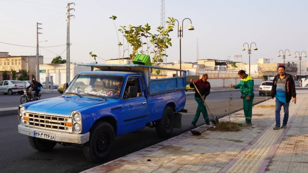 کاشت ۵۰ اصله نهال سپستان در خیابان شهید چمران برازجان + تصاویر کاشت ۵۰ اصله نهال سپستان در خیابان شهید چمران برازجان + تصاویر