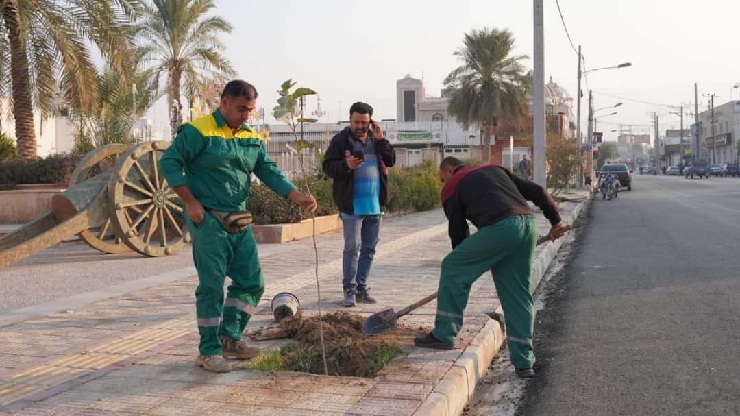 کاشت ۵۰ اصله نهال سپستان در خیابان شهید چمران برازجان + تصاویر کاشت ۵۰ اصله نهال سپستان در خیابان شهید چمران برازجان + تصاویر
