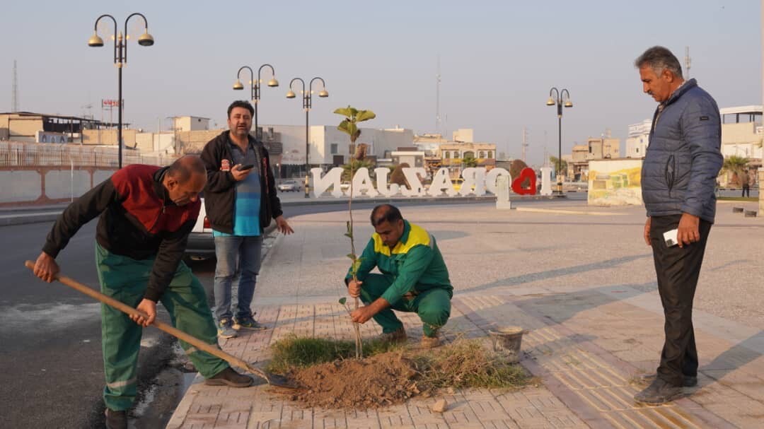 کاشت ۵۰ اصله نهال سپستان در خیابان شهید چمران برازجان + تصاویر کاشت ۵۰ اصله نهال سپستان در خیابان شهید چمران برازجان + تصاویر