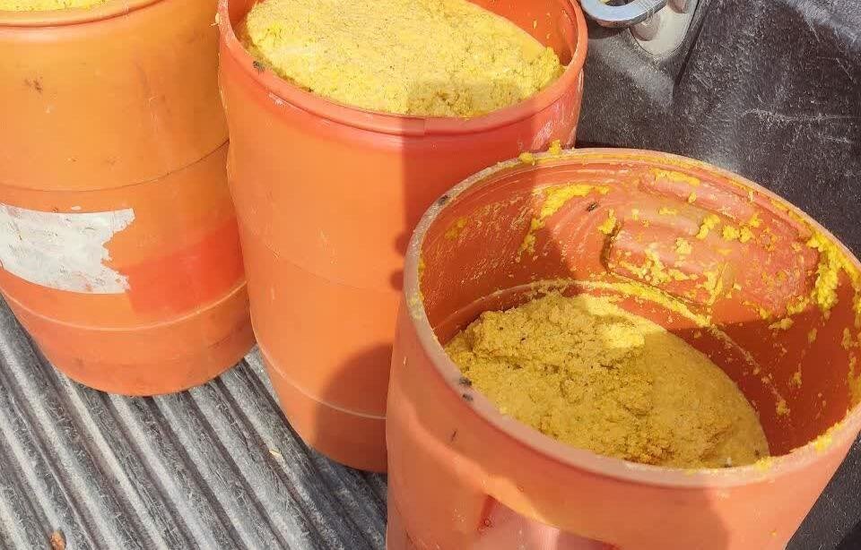 ساندویچی غیر بهداشتی اتباع غیر مجاز در گناوه پلمب شد + تصاویر