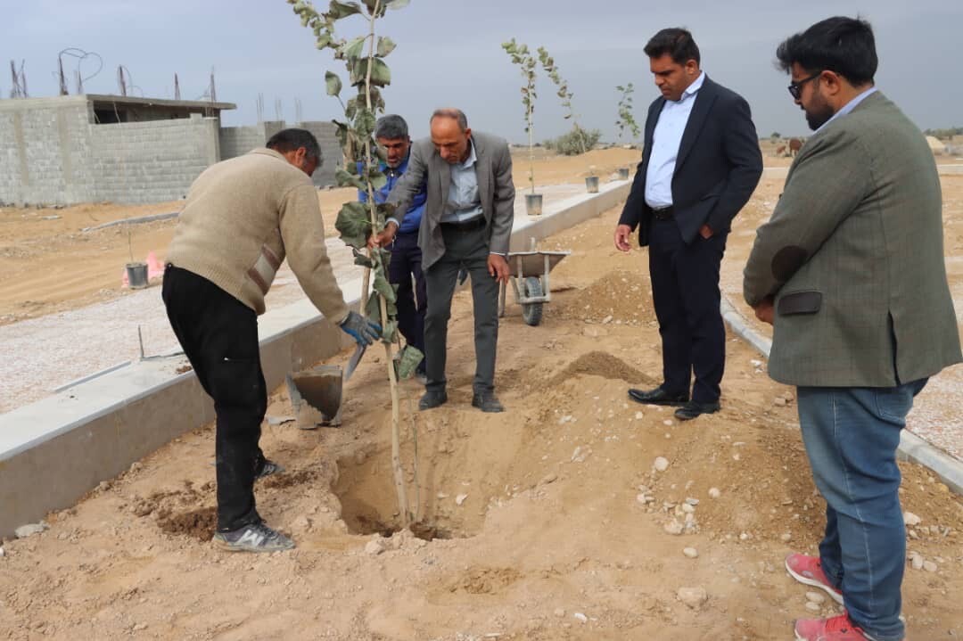 شهردار آب پخش خبر داد: آغاز کاشت بیش از ۱۰۰۰ اصله نهال در پارک‌ها و بلوار‌های سطح شهر + تصاویر