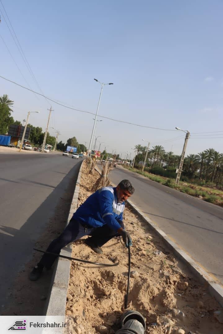 درختکاری بلوار سردار شهید کرامت به طول دو کیلومتر در حال اجراست/ نصب سردیس شهید در ابتدای بلوار در آینده‌ای نزدیک + تصاویر