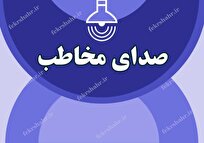 بیابان گرمی پر از آهن و سیمان به نام برازجان و مقایسه آن با شهر بوشهر/ در برازجان از سال ۱۴۰۰ شهردار تصمیم به قطع درختان گرفت