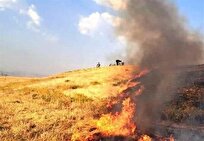 شناسایی ۱۶ مظنون آتش سوزی جنگل‌های لرستان