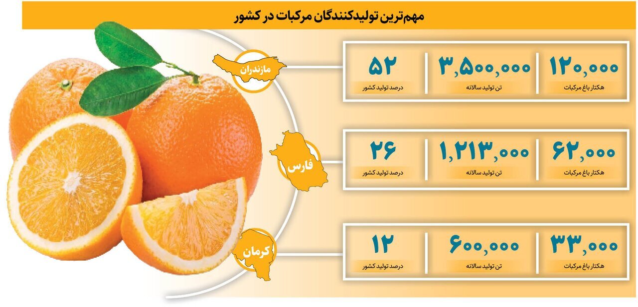 این شهر به پرتقال هایش معروف است؛ با قطب‌های مرکبات ایران آشنا شوید