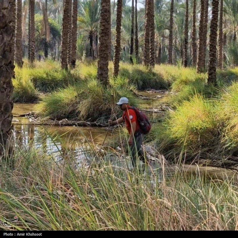 کشف جسد دومین غرقی در کانال آبیاری آب پخش؛  ۴ روز بعد؛ ۱۱ کیلومتر دورتر + تصاویر