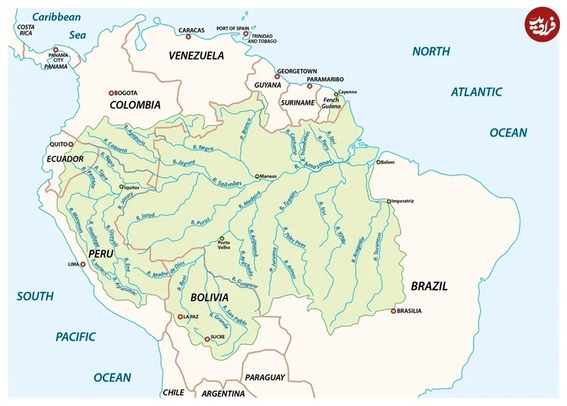چرا رودخانه آمازون «پل» ندارد؟