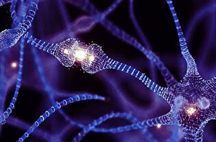 توانایی عجیبی از مغز کشف شد!