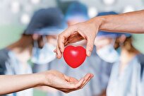 یک مسوول: خدمات متوفیان اهداکننده عضو در بوشهر به صورت رایگان ارائه خواهد شد