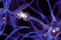 توانایی عجیبی از مغز کشف شد!