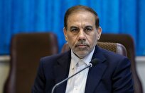 سخنگوی قوه قضائیه: ادعای ۱۲ هزار جان باخته در جریان حوادث اخیر صحت ندارد/ دریافت مبلغ برای تحویل اجساد کذب بوده، زیرا کلیه فعالیت‌های سازمان پزشکی قانونی رایگان است