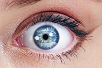 دانشمندان: تغییر ظریف در چشمان یک نفر نشان می‌دهد آیا او به شما علاقه دارد یا نه