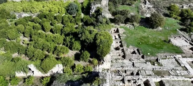 کشف «ال‌دورادو» واقعی در قلب آمازون؛ شهری عظیم که زیر درختان مخفی شده بود! + عکس
