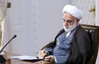 محسنی اژه‌ای: همه عوامل وقایع اخیر مجازات خواهند شد