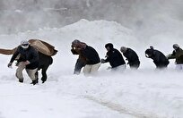مرزبانان ایران ۱۶۰۰ مهاجر افغان را از مرگ حتمی نجات دادند