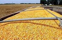 کدام کالا رکورددار دریافت ارز ۲۸۵۰۰ تومانی شد؟ + جدول