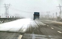 بارندگی در جنوب استان بوشهر بدون انسداد محور بود/ یک فوتی در جاده ساحلی خورموج