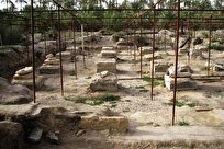 مشاور وزیر: زیرساخت‌های کاخ بردک سیاه دشتستان تقویت می‌شود