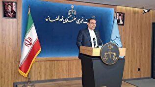 قوه قضاییه: وضعیت پرونده «بابک زنجانی»، «الهه حسین‌نژاد»، «چای دبش» و فرزندان یک مقام سابق قضایی