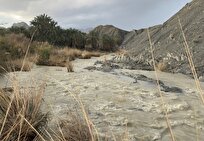 هشدار نارنجی هواشناسی برای بوشهر/ زمان ورود سامانه جدید بارشی به استان