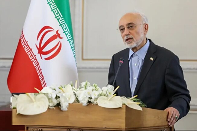 علی اکبر صالحی: مالکیت معنوی نماد شیر و خورشید متعلق به جمهوری اسلامی ایران است / تکلیف سیاست خارجی بعد از ۴۷ سال هنوز روشن نیست