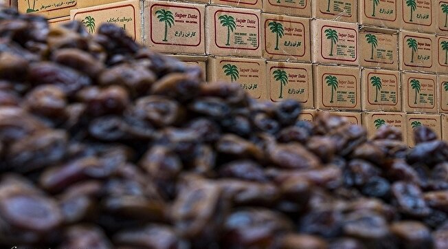 رئیس انجمن خرما: قیمت خرما در ماه رمضان کیلویی ۳۱۰ هزار تومان است