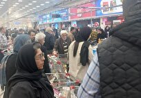 مقایسه دو روش استفاده از کالابرگ؛ کدام یک سود بیشتری دارد؟