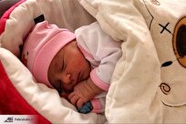 وزارت بهداشت: جمعیت کشور سالانه هفت درصد کاهش می‌یابد