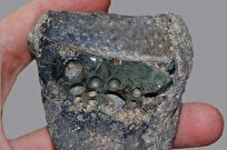 محققان دانشگاه کالج لندن: فولاد کرومیوم اولین‌بار در ایران باستان تولید شد