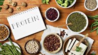 بهترین منابع پروتئین برای زنان بالای ۴۰ سال