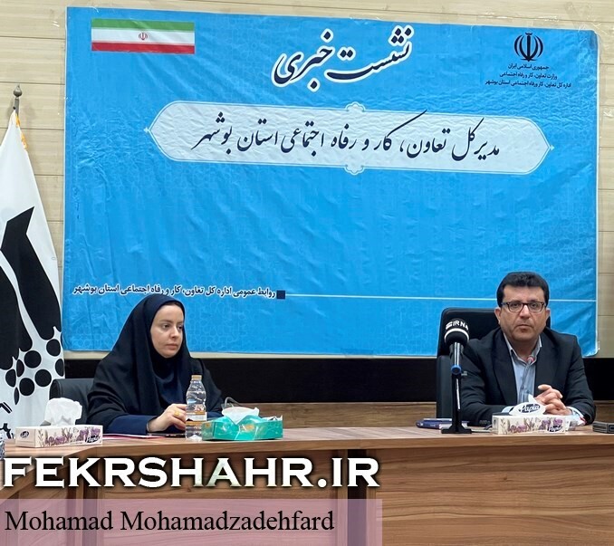 استان بوشهر یک استان کارگری است و تعداد زیادی از شاغلین استان کارگر هستند/ کمبود تعداد بازرس باعث شده که در حوزه ایمنی نتوان همه کارگاه‌ها را بازرسی کرد/ نامه وزیر برای انتقال حساب‌های شرکت‌ها به استان‌ها