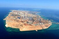 بخشدار: خارگ نماد تنوع زیستی در خلیج فارس است