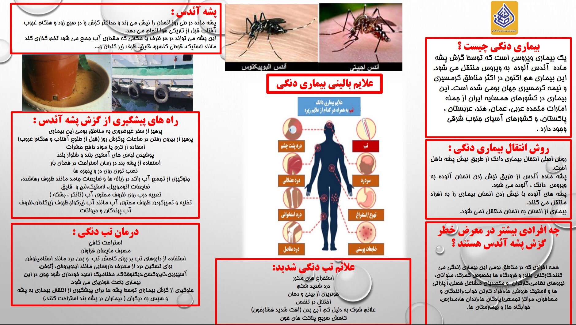 اینفوگرافی اختصاصی «فکرشهر»/ همه چیز درباره پشه آئدس و بیماری تب دنگی؛ پیشگیری، علائم و درمان
