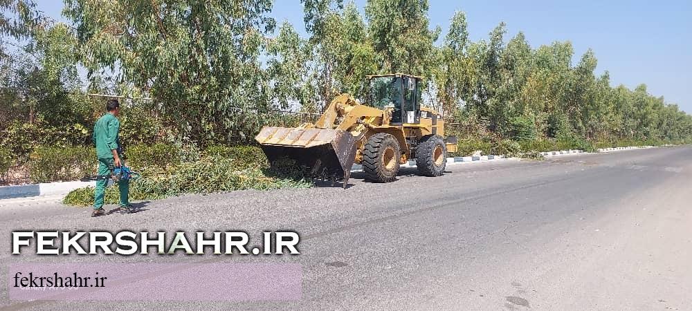 فکرشهر: عملیات هرس، فرم دهی درختان، اصلاح چمن وجین وپاکسازی فضای سبز سطح شهرخارگ اجرا شد