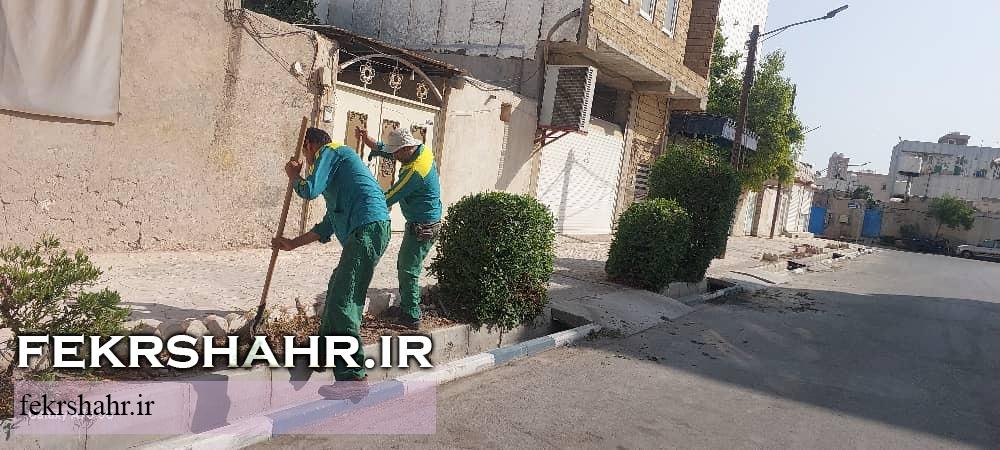 فکرشهر: عملیات هرس، فرم دهی درختان، اصلاح چمن وجین وپاکسازی فضای سبز سطح شهرخارگ اجرا شد