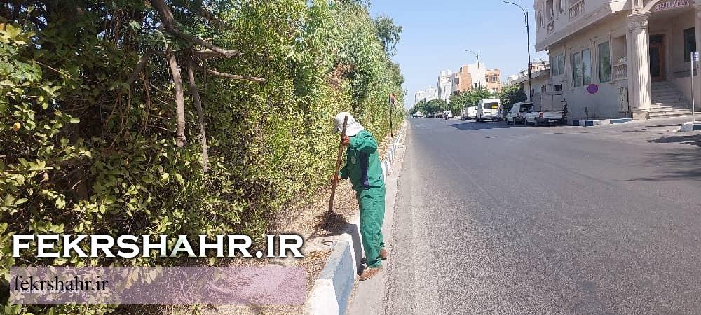 فکرشهر: عملیات هرس، فرم دهی درختان، اصلاح چمن وجین وپاکسازی فضای سبز سطح شهرخارگ اجرا شد