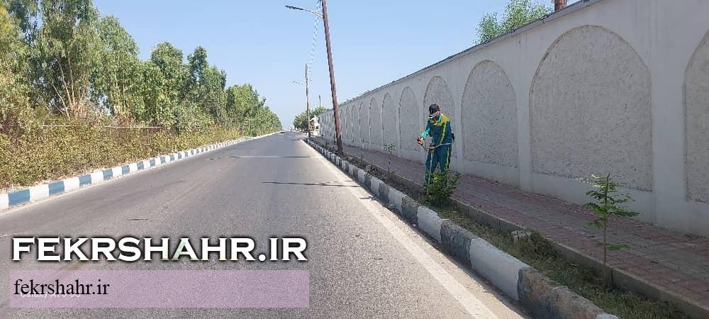 فکرشهر: عملیات هرس، فرم دهی درختان، اصلاح چمن وجین وپاکسازی فضای سبز سطح شهرخارگ اجرا شد