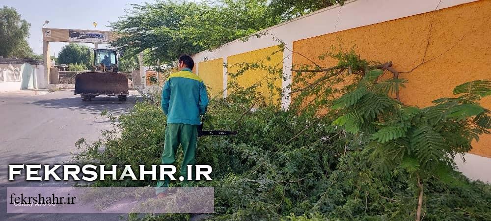 فکرشهر: عملیات هرس، فرم دهی درختان، اصلاح چمن وجین وپاکسازی فضای سبز سطح شهرخارگ اجرا شد