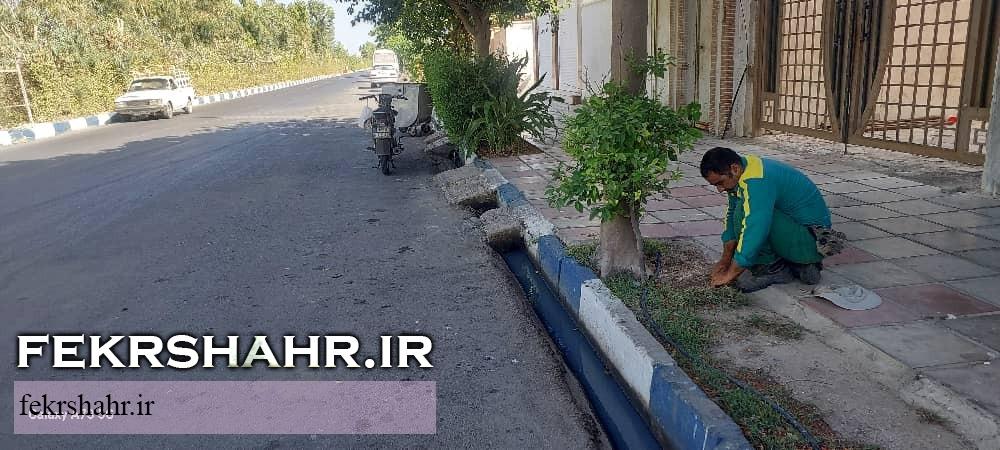 فکرشهر: عملیات هرس، فرم دهی درختان، اصلاح چمن وجین وپاکسازی فضای سبز سطح شهرخارگ اجرا شد