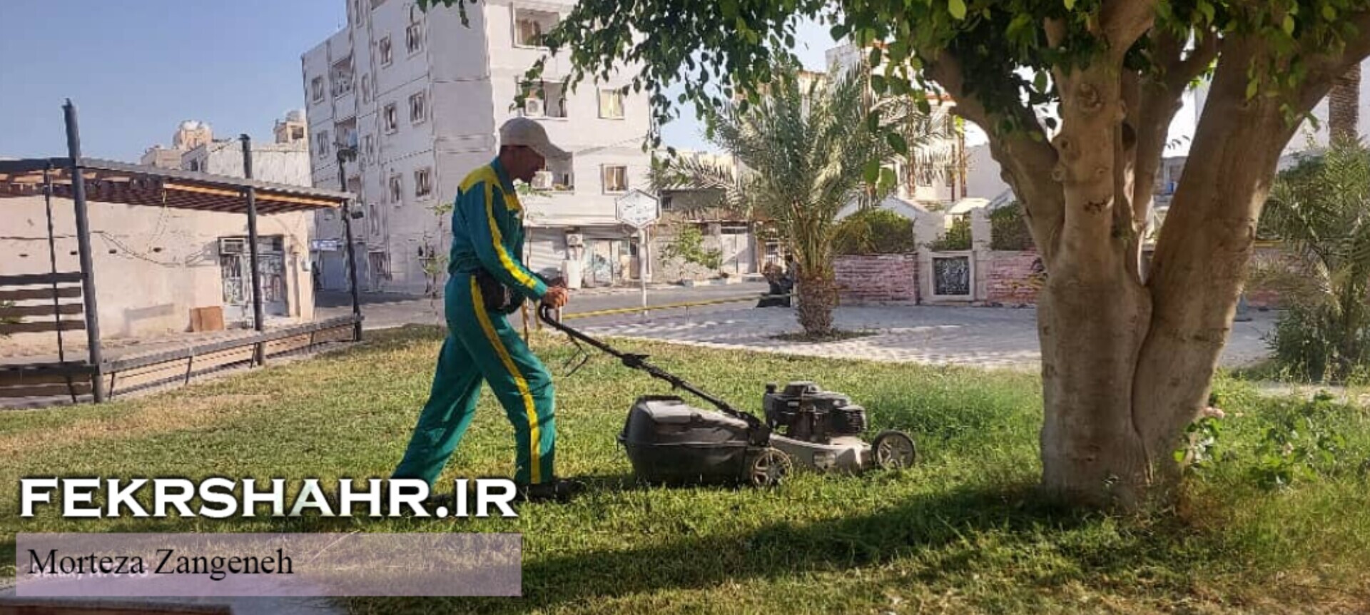 فکرشهر: عملیات هرس، فرم دهی درختان، اصلاح چمن وجین وپاکسازی فضای سبز سطح شهرخارگ اجرا شد