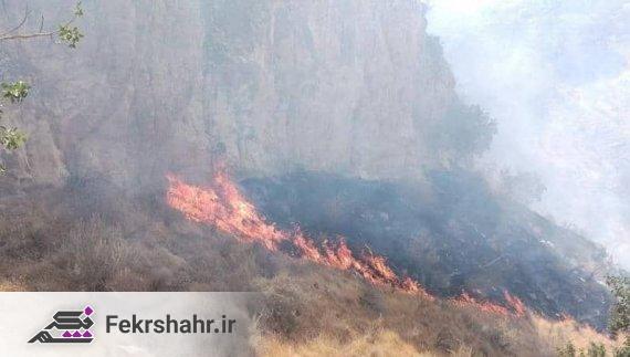 آتش‌سوزی گسترده در منطقه بین سوک و سرمله (ارغون) در ارتفاعات دشتستان همچنان ادامه دارد/ درخواست نیرو از شهرستان‌های همجوار + فیلم/ تکمیلی: آتش مهار شد