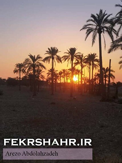 تصاویر اختصاصی «فکرشهر»/ غروب در استان بوشهر