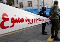 تولید محتوای اینستاگرامی در تهران، منجر به قتل شد