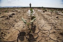 هواشناسی: شاهد نابهنجاری دمایی کم سابقه و در برخی استان‌ها بی سابقه بوده ایم/ گرمای تابستان فراتر از نرمال خواهد بود / به احتمال زیاد رودخانه‌های فصلی زودتر از معمول خشک خواهند شد / حالا زمان نگرانی است