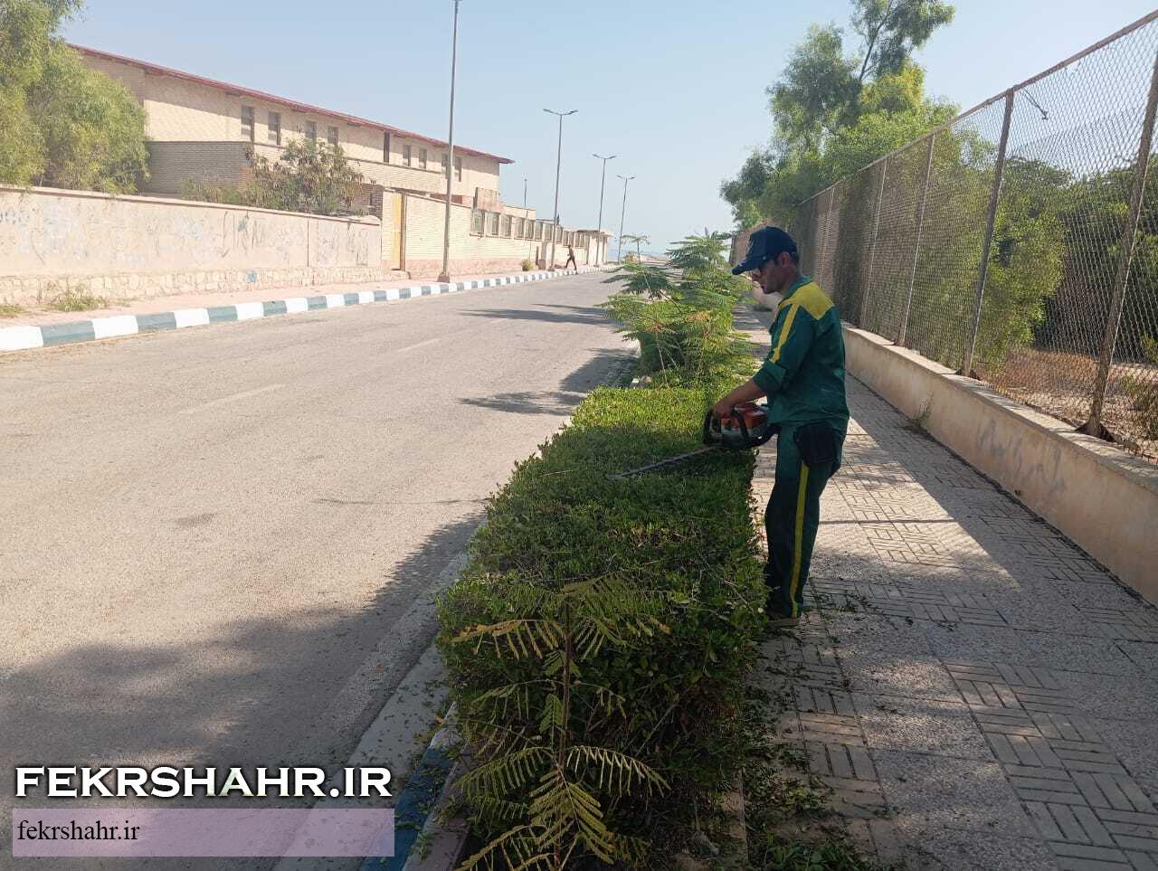 رسیدگی به فضای سبز شهری در گرم‌ترین فصل سال با هدف حفظ طراوت فضای سبزشهری در جزیره خارگ +تصاویر