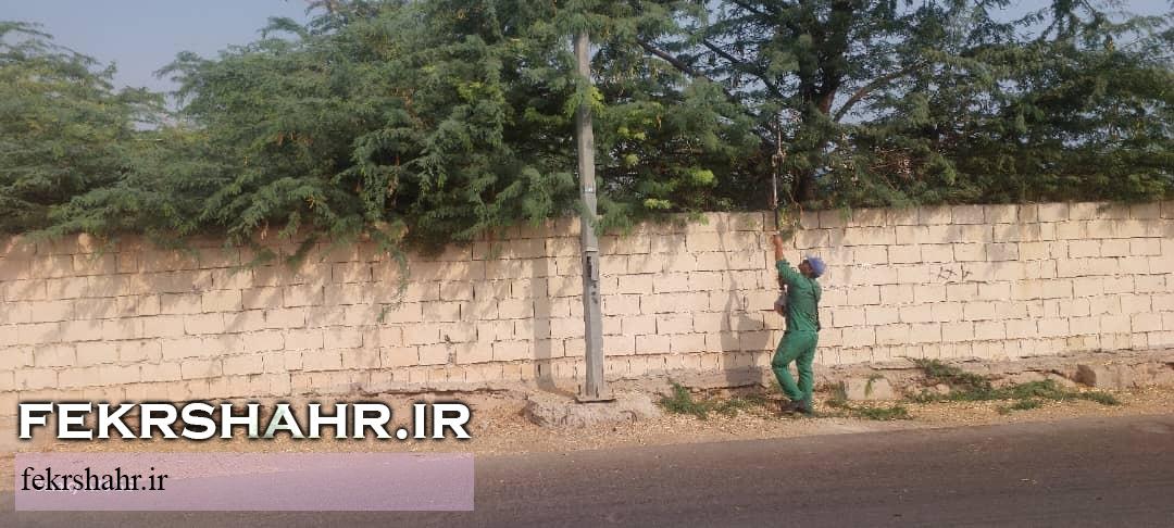 رسیدگی به فضای سبز شهری در گرم‌ترین فصل سال با هدف حفظ طراوت فضای سبزشهری در جزیره خارگ +تصاویر