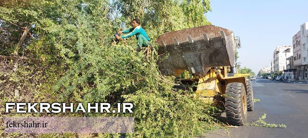 رسیدگی به فضای سبز شهری در گرم‌ترین فصل سال با هدف حفظ طراوت فضای سبزشهری در جزیره خارگ +تصاویر