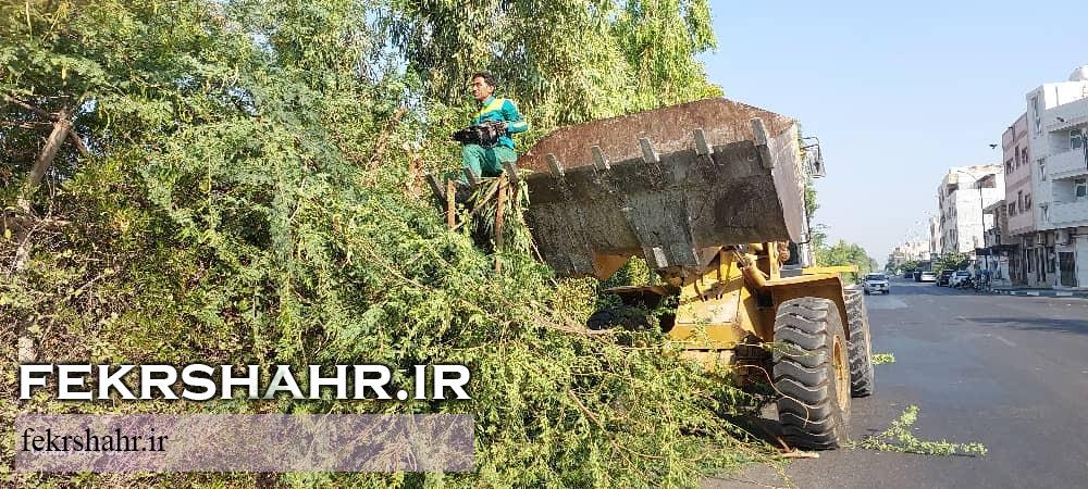 رسیدگی به فضای سبز شهری در گرم‌ترین فصل سال با هدف حفظ طراوت فضای سبزشهری در جزیره خارگ +تصاویر